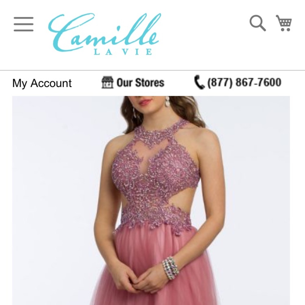 Pink Prom Dress- Camille la Vie